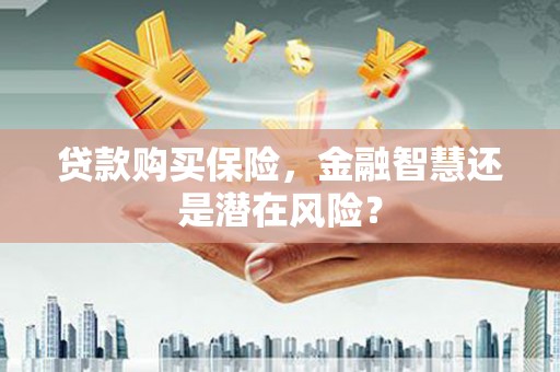 永修贷款购买保险，金融智慧还是潜在风险？