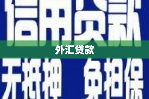 永修外汇贷款