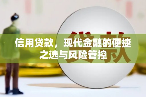 永修信用贷款，现代金融的便捷之选与风险管控