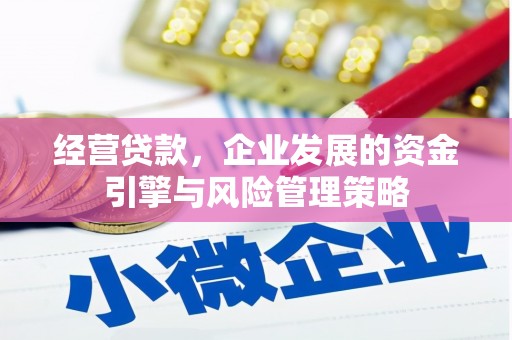 永修经营贷款，企业发展的资金引擎与风险管理策略