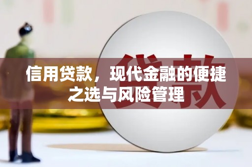 永修信用贷款，现代金融的便捷之选与风险管理