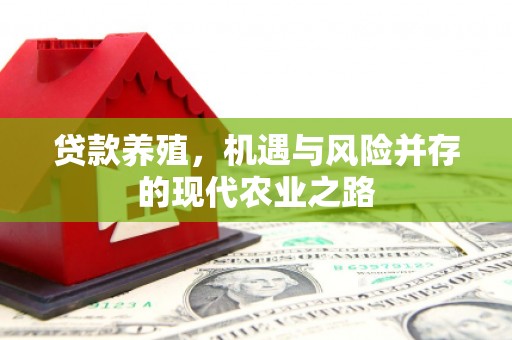 永修贷款养殖，机遇与风险并存的现代农业之路