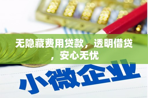 永修无隐藏费用贷款，透明借贷，安心无忧