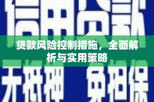 永修贷款风险控制措施，全面解析与实用策略