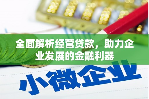 永修全面解析经营贷款，助力企业发展的金融利器