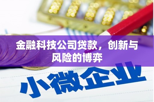 永修金融科技公司贷款，创新与风险的博弈