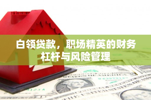 永修白领贷款，职场精英的财务杠杆与风险管理