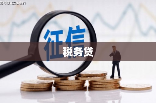 永修税务贷