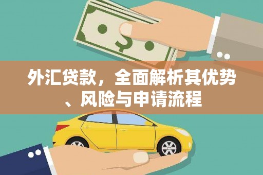 永修外汇贷款，全面解析其优势、风险与申请流程