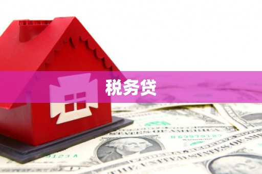 永修税务贷
