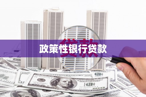 永修政策性银行贷款