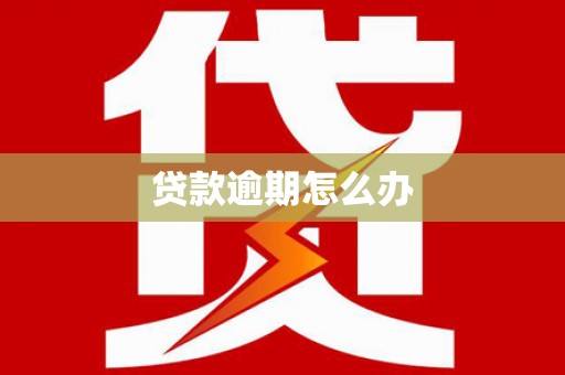 永修贷款逾期怎么办