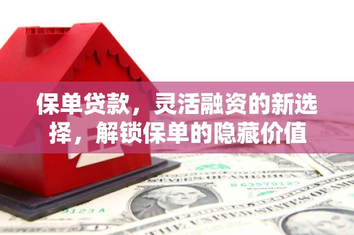 永修保单贷款，灵活融资的新选择，解锁保单的隐藏价值