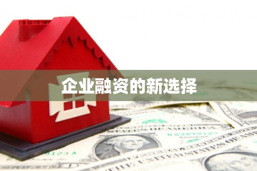 永修企业融资的新选择