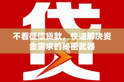 永修不看征信贷款，快速解决资金需求的秘密武器