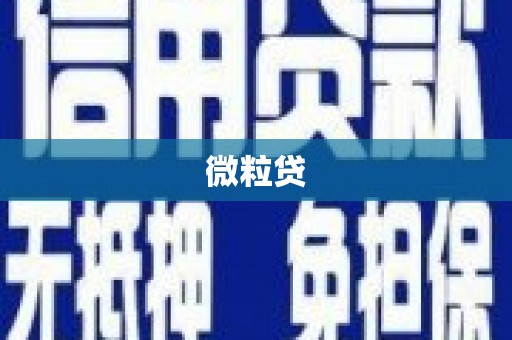 永修微粒贷