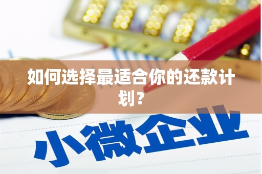 永修如何选择最适合你的还款计划？