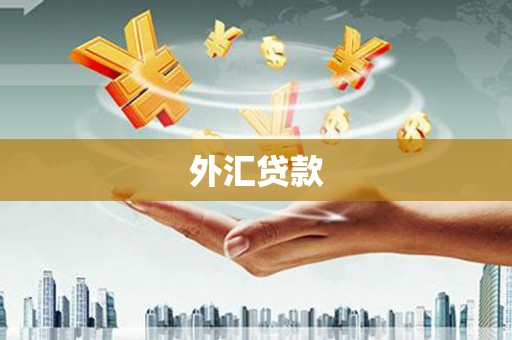 永修外汇贷款