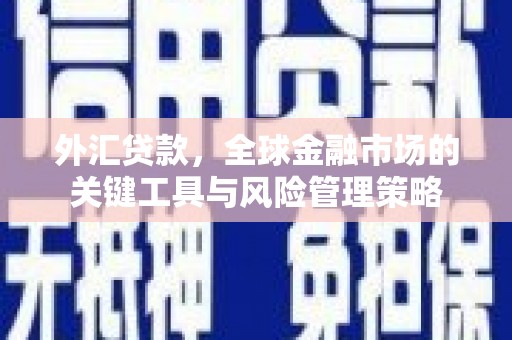 永修外汇贷款，全球金融市场的关键工具与风险管理策略