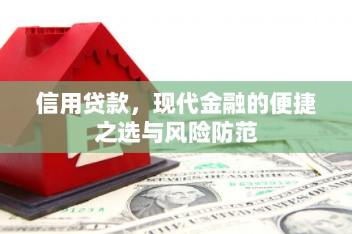 永修信用贷款，现代金融的便捷之选与风险防范