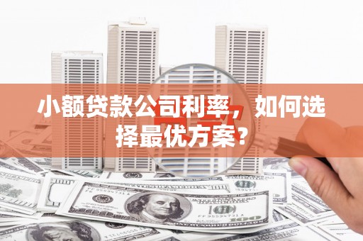 永修小额贷款公司利率，如何选择最优方案？