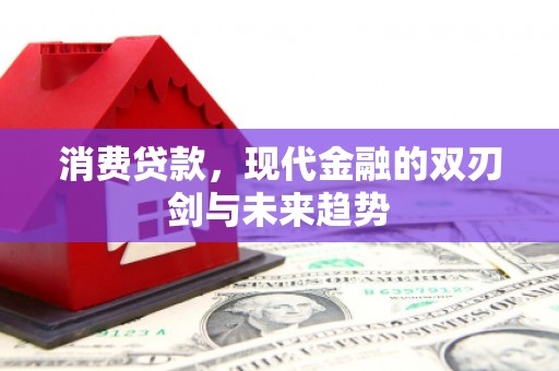 永修消费贷款，现代金融的双刃剑与未来趋势