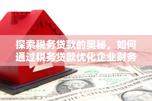 永修探索税务贷款的奥秘，如何通过税务贷款优化企业财务