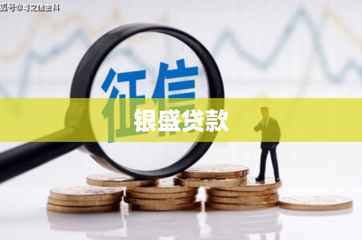 永修银盛贷款