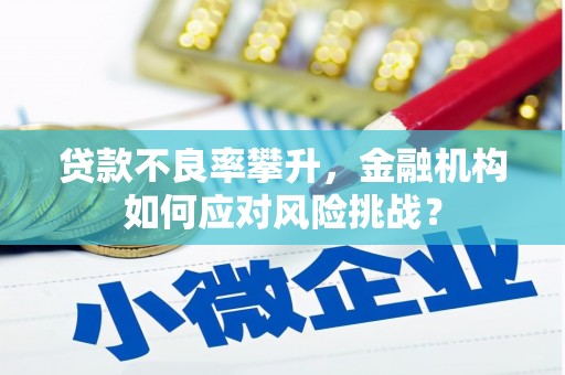 永修贷款不良率攀升，金融机构如何应对风险挑战？