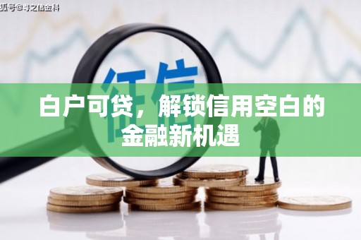 永修白户可贷，解锁信用空白的金融新机遇