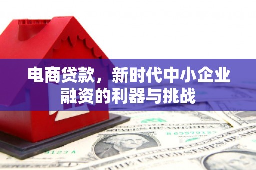 永修电商贷款，新时代中小企业融资的利器与挑战