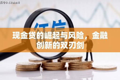 永修现金贷的崛起与风险，金融创新的双刃剑