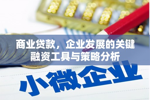 永修商业贷款，企业发展的关键融资工具与策略分析