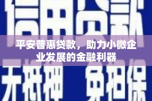 永修平安普惠贷款，助力小微企业发展的金融利器