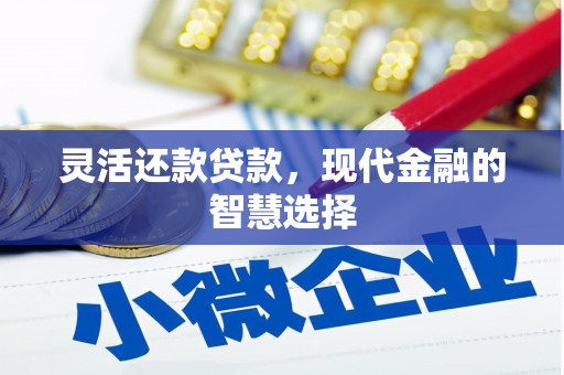 永修灵活还款贷款，现代金融的智慧选择