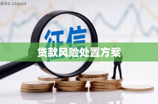 永修贷款风险处置方案