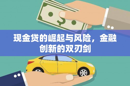 永修现金贷的崛起与风险，金融创新的双刃剑
