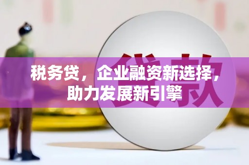 永修税务贷，企业融资新选择，助力发展新引擎