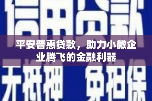 永修平安普惠贷款，助力小微企业腾飞的金融利器