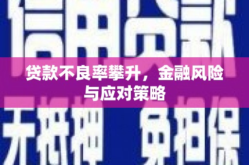 永修贷款不良率攀升，金融风险与应对策略