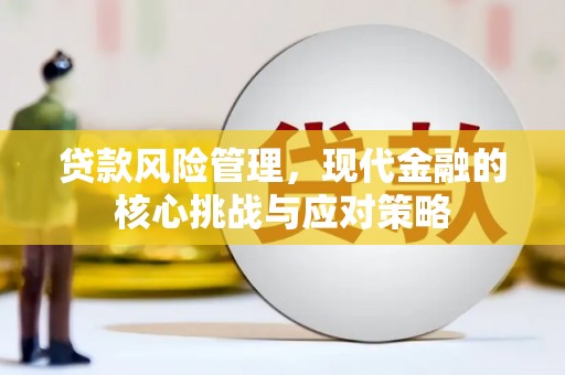 永修贷款风险管理，现代金融的核心挑战与应对策略