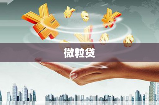永修微粒贷