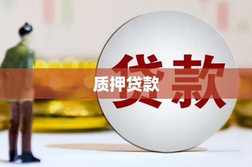永修质押贷款