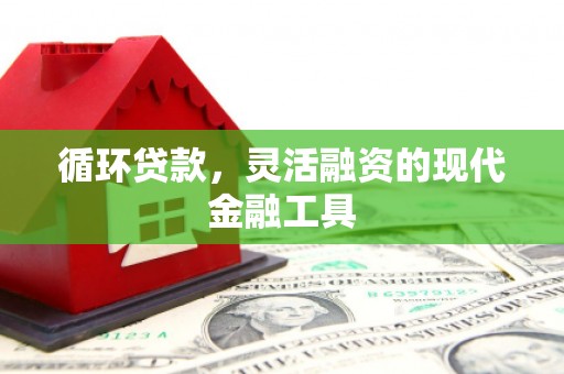永修循环贷款，灵活融资的现代金融工具