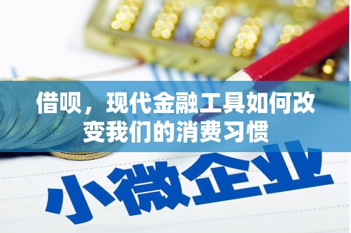 永修借呗，现代金融工具如何改变我们的消费习惯