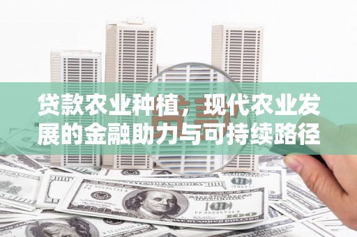 永修贷款农业种植，现代农业发展的金融助力与可持续路径