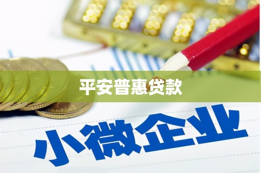 永修平安普惠贷款