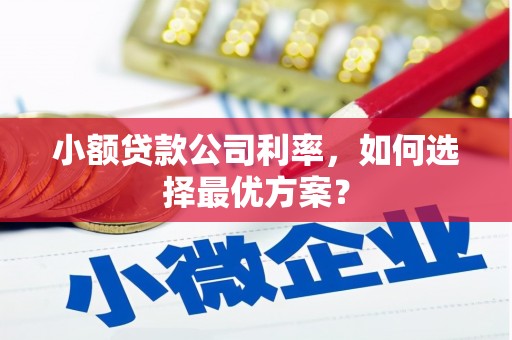 永修小额贷款公司利率，如何选择最优方案？