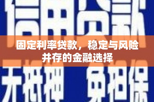 永修固定利率贷款，稳定与风险并存的金融选择