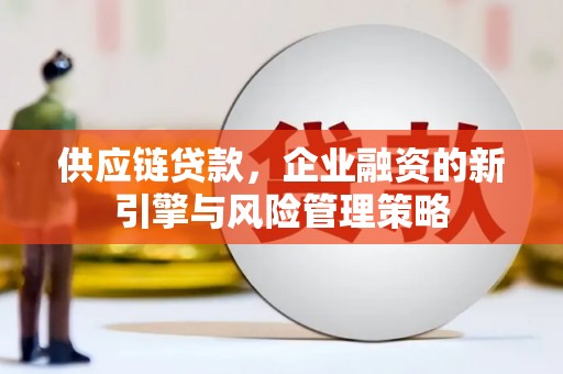 永修供应链贷款，企业融资的新引擎与风险管理策略